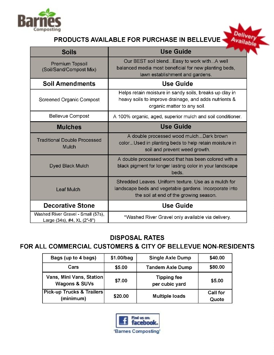 2026-City-of-Bellevue-Flyer_Page_2